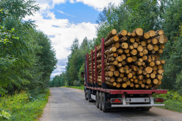 林业工作:清除树干。为加工而去除木材。木工和家具制造业的工业伐木。生态与森林砍伐图片下载