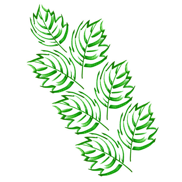 划线标记草绿色手绘藤蔓树叶明亮的树图片下载