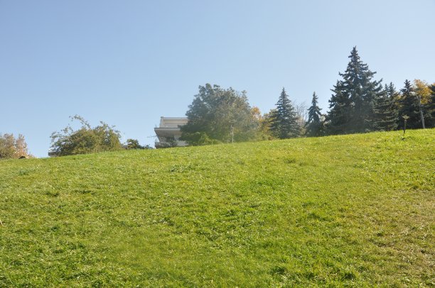 一片草地图片下载