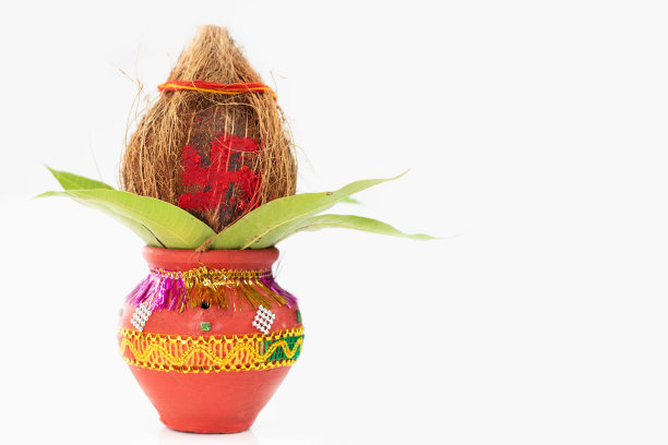 用椰子，芒果叶装饰的赤陶土壶卡拉什，用于Navratri Pooja, Dussehra Puja, Karva Chauth, Teej, Ganesh Chaturthi或Shubh Deepavali。白色背景与复制空间图片下载