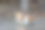 狗的特写画像图片下载