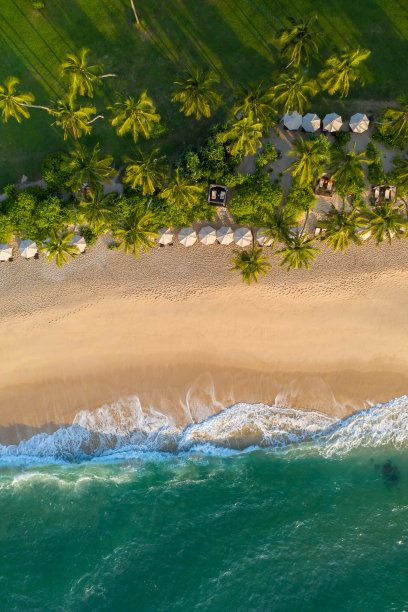 棕榈树的鸟瞰图，印度Oken海岸线和平房。斯里兰卡岛图片下载