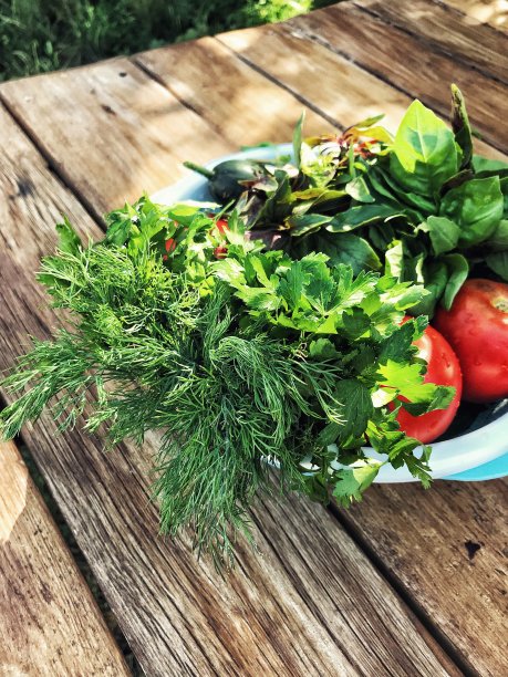 天然食品图片下载
