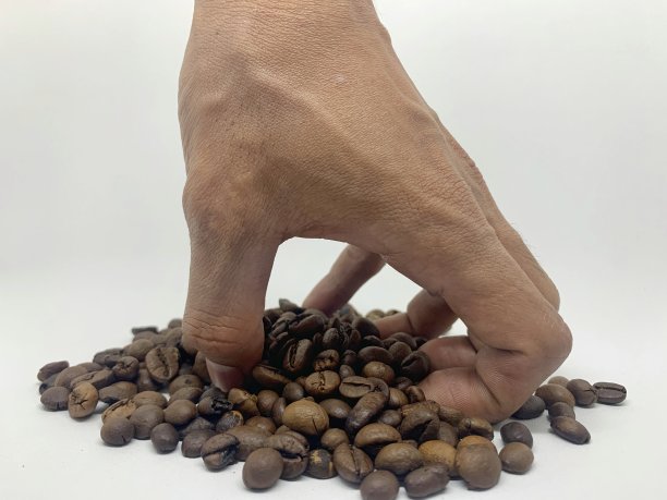 双手从白色背景中拾起咖啡豆图片下载