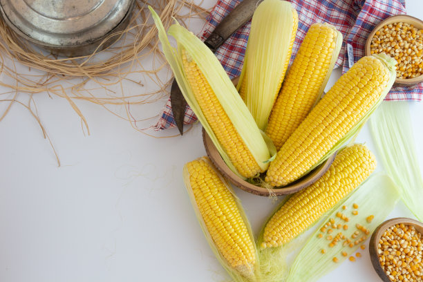 玉米，白色背景上的甜玉米图片下载