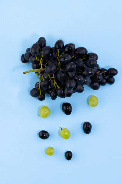新鲜成熟的黑葡萄和绿色的葡萄在蓝色的背景图片下载