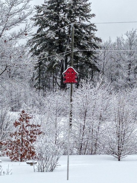 新英格兰图片下载