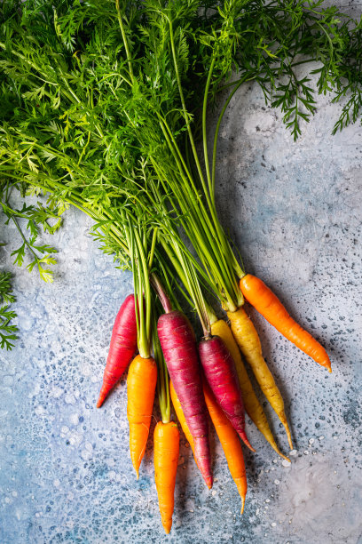 五彩缤纷的彩虹胡萝卜图片下载