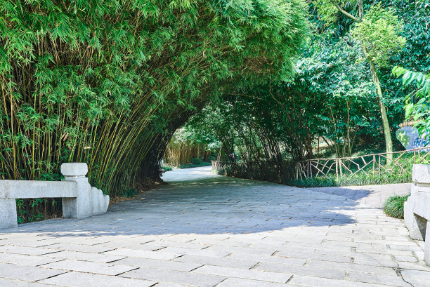 中国公园里的石板路图片下载