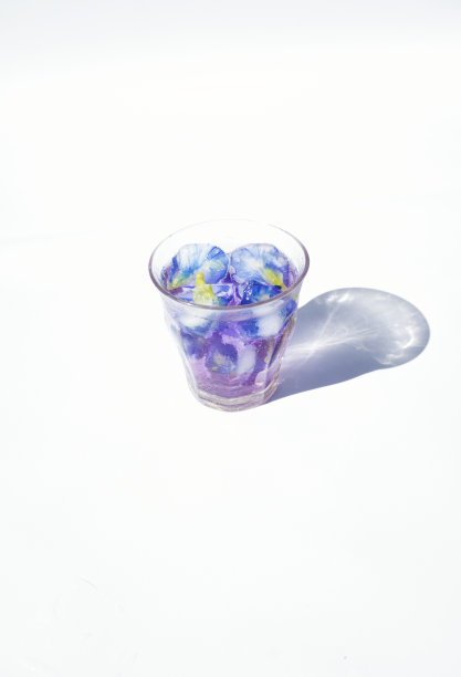 紫色的蝴蝶豌豆花茶图片下载