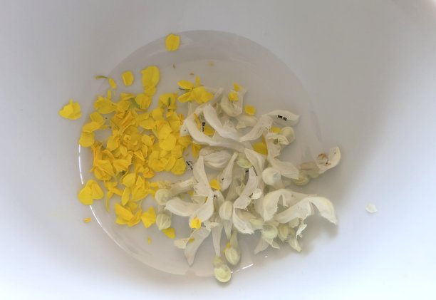 白色的叶子和黄色的花在白色的盘子图片下载