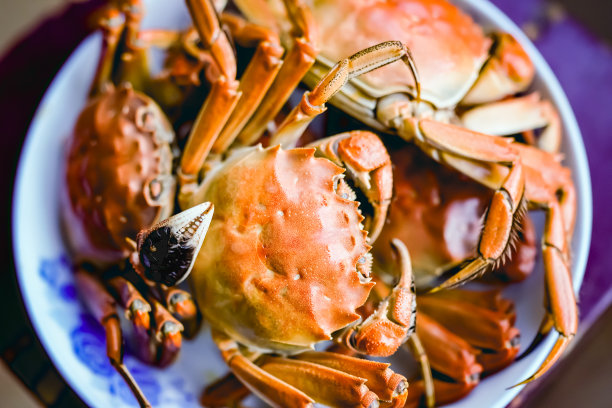 在厨房里煮大闸蟹图片下载