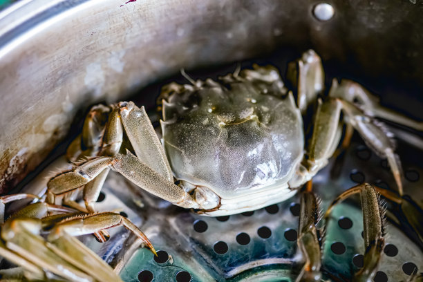 在厨房里煮大闸蟹图片下载