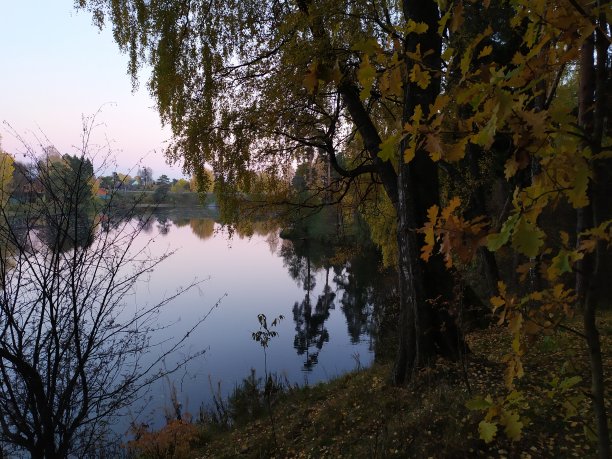 秋天的森林里有五颜六色的树木，平静的河流在傍晚的灯光下有清澈的蓝天图片下载