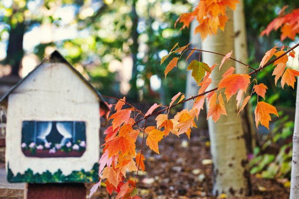 充满颜色图片下载