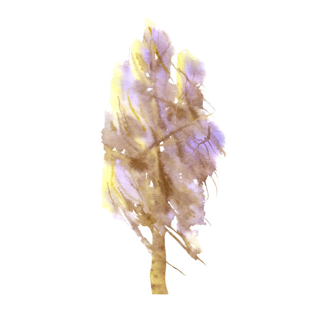 白色背景上的白桦。手绘冬季树。水彩插图。图片下载