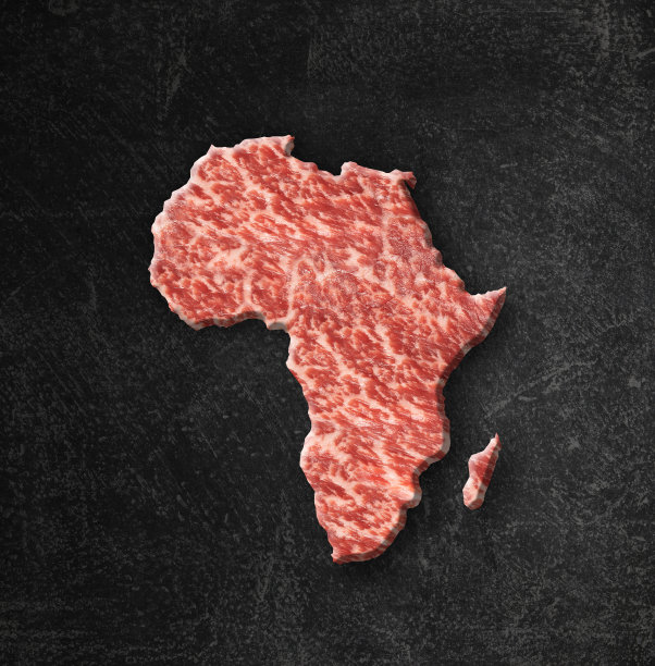 用生神户牛肉制作的非洲地图图片下载