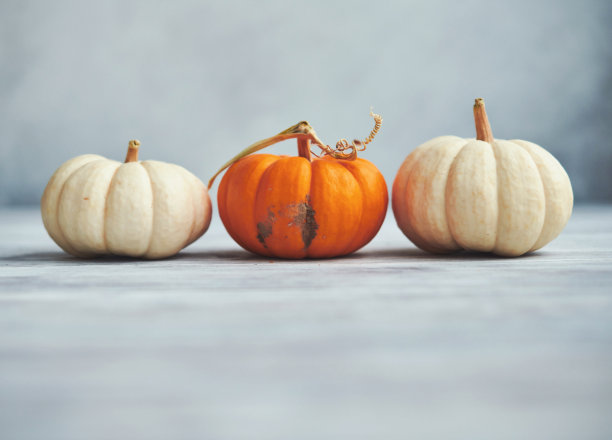 南瓜收集质朴的白色木材为秋天和感恩节图片下载