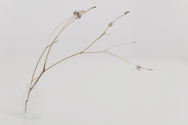 花瓶与干花在白色的桌子上。极简风格的家居室内装饰。简单和冷静的概念。图片下载