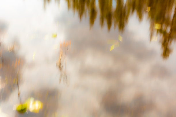 春天池塘里森林和天空的抽象印象派倒影图片下载