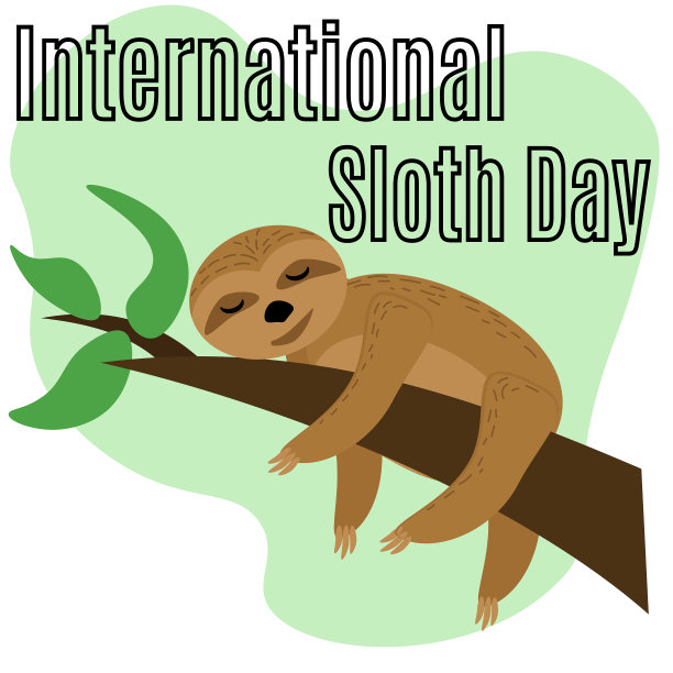 国际树懒日，海报、横幅、传单或明信片的创意图片下载