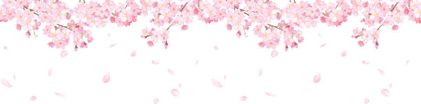 水平无缝模式的樱花和落下的花瓣。水彩插图。框架装饰。图片下载