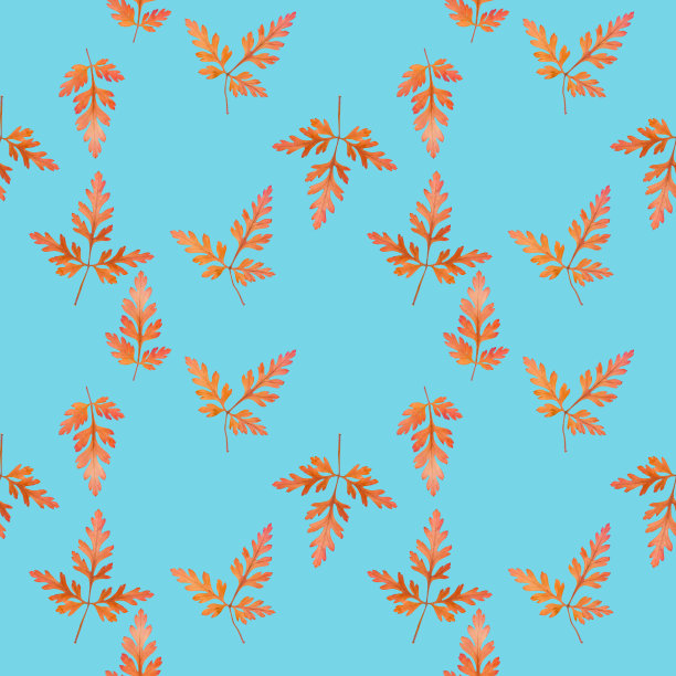 叶天竺葵,天竺葵属植物。插图，花的纹理。连续复制的无缝模式。花卉背景，照片拼贴为纺织，棉花织物。用于墙纸，封面图片下载