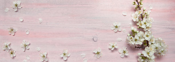 木制背景上的梅花图片下载