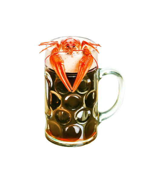 小龙虾与啤酒孤立在白色背景图片下载