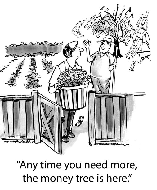 金钱树图片下载