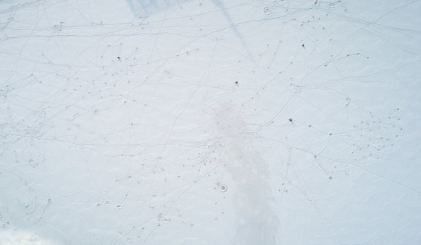 结冰的河面上的渔夫图片下载