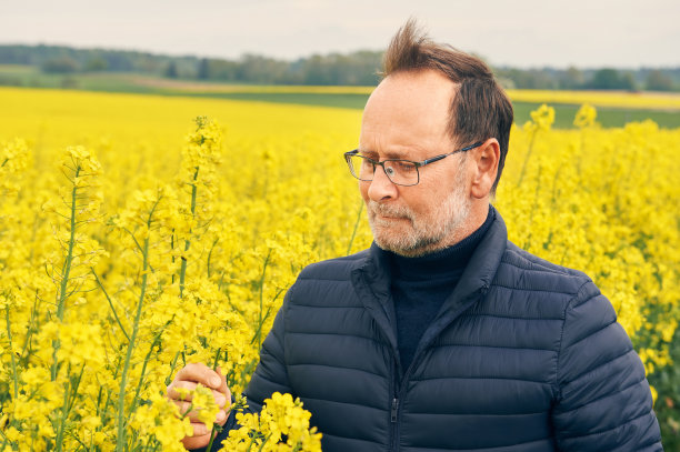 中年农民的户外肖像看着菜花图片下载