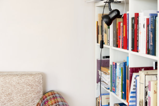 客厅内部有舒适的沙发和不同的书。图片下载