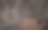 图书馆的书架。有很多书的大书柜。房间里的沙发用来看书。有书架的图书馆或商店。舒适的书的背景。书店的书店图片下载