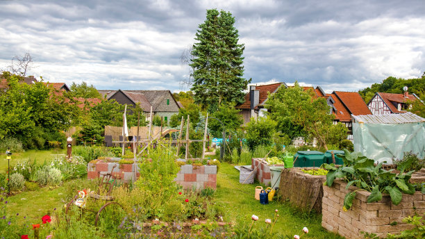 有高高的花坛的漂亮花园图片下载