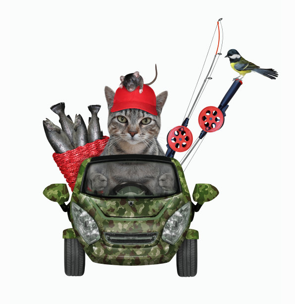 猫格雷从钓鱼回来的汽车图片下载