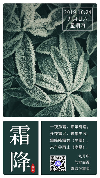 二十四节气霜降每日一签日签图片下载