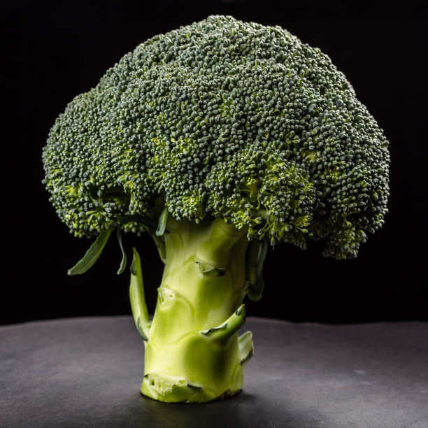 黑色背景下绿树形状的花椰菜图片下载