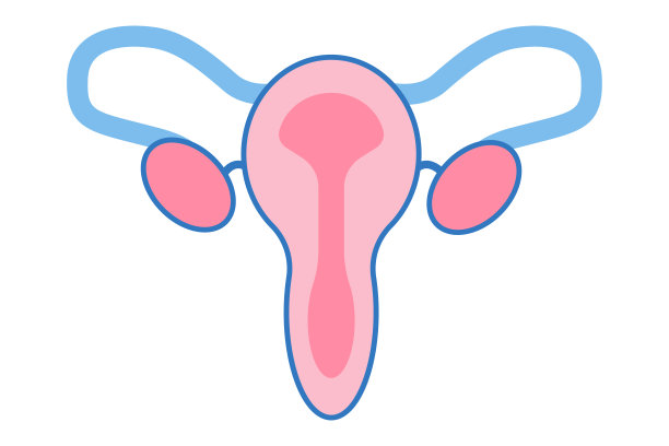 女性生殖系统，女性生殖器官。器官定位计子宫、子宫颈、卵巢、输卵管图标。矢量彩色平面插图。图片下载