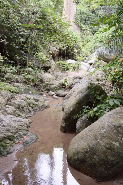 泰国自然森林中的瀑布图片下载