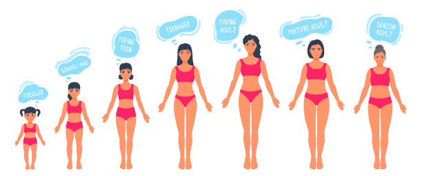 人体衰老过程：女性身体变化图片下载