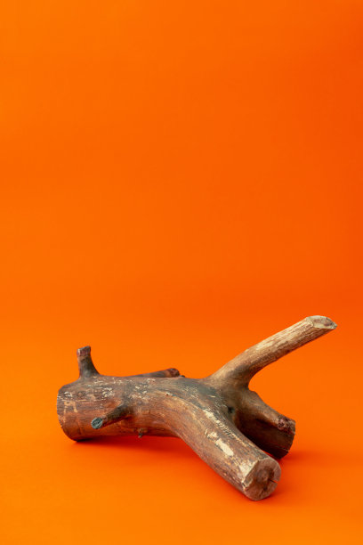 空荡荡的抽象木制讲台上明亮的橙色背景。秋季假期销售模型。万圣节或感恩节的模板。用于天然化妆品广告的粗糙纹理木材图片下载