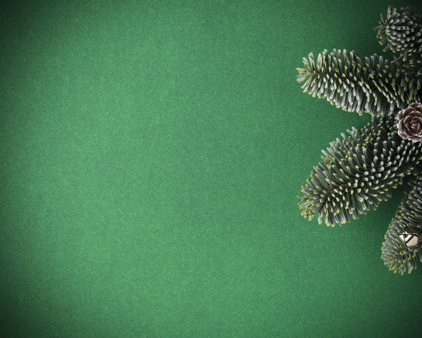 绿色背景与冷杉树枝。圣诞节的背景。图片下载