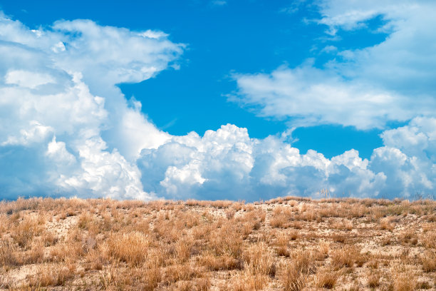 沙漠地区的干草与天空形成鲜明的对比图片下载
