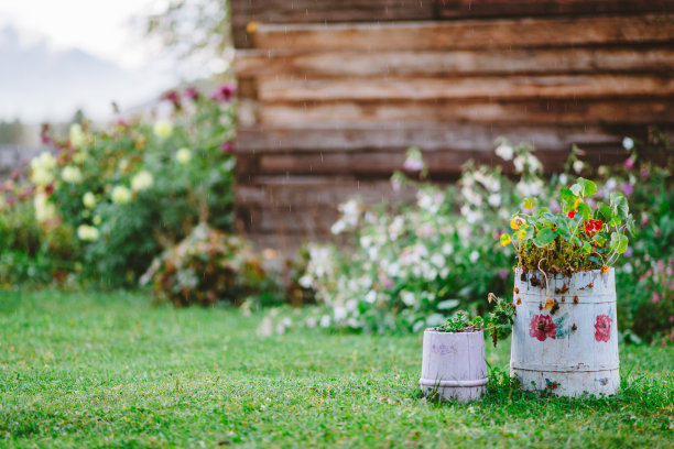 雨中，一户村舍的庭院里插着花管图片下载