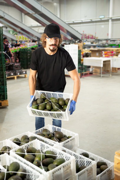 在水果仓库搬运鳄梨的人图片下载