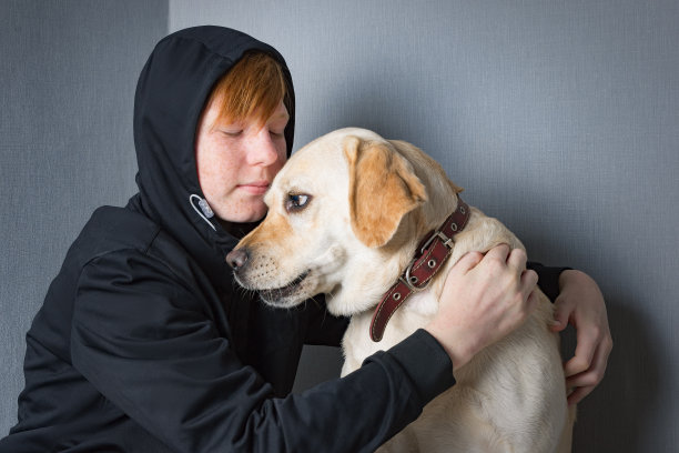一个红发少年穿着黑色运动衫，戴着兜帽，拥抱着他的拉布拉多狗，陪伴和支持来自魅力和孤独。家庭中的社会问题。图片下载