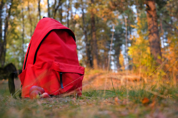 秋天森林里的红色背包和热杯图片下载