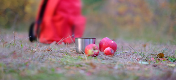 热杯子和秋天森林里的苹果，旅游理念，旗帜图片下载