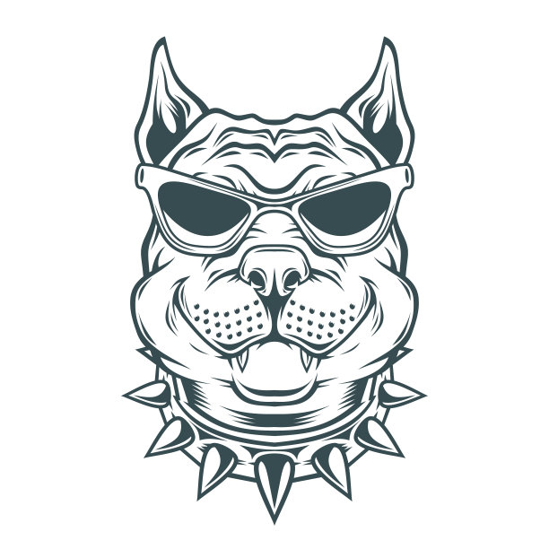 戴着太阳镜的美国斗牛梗。图片下载